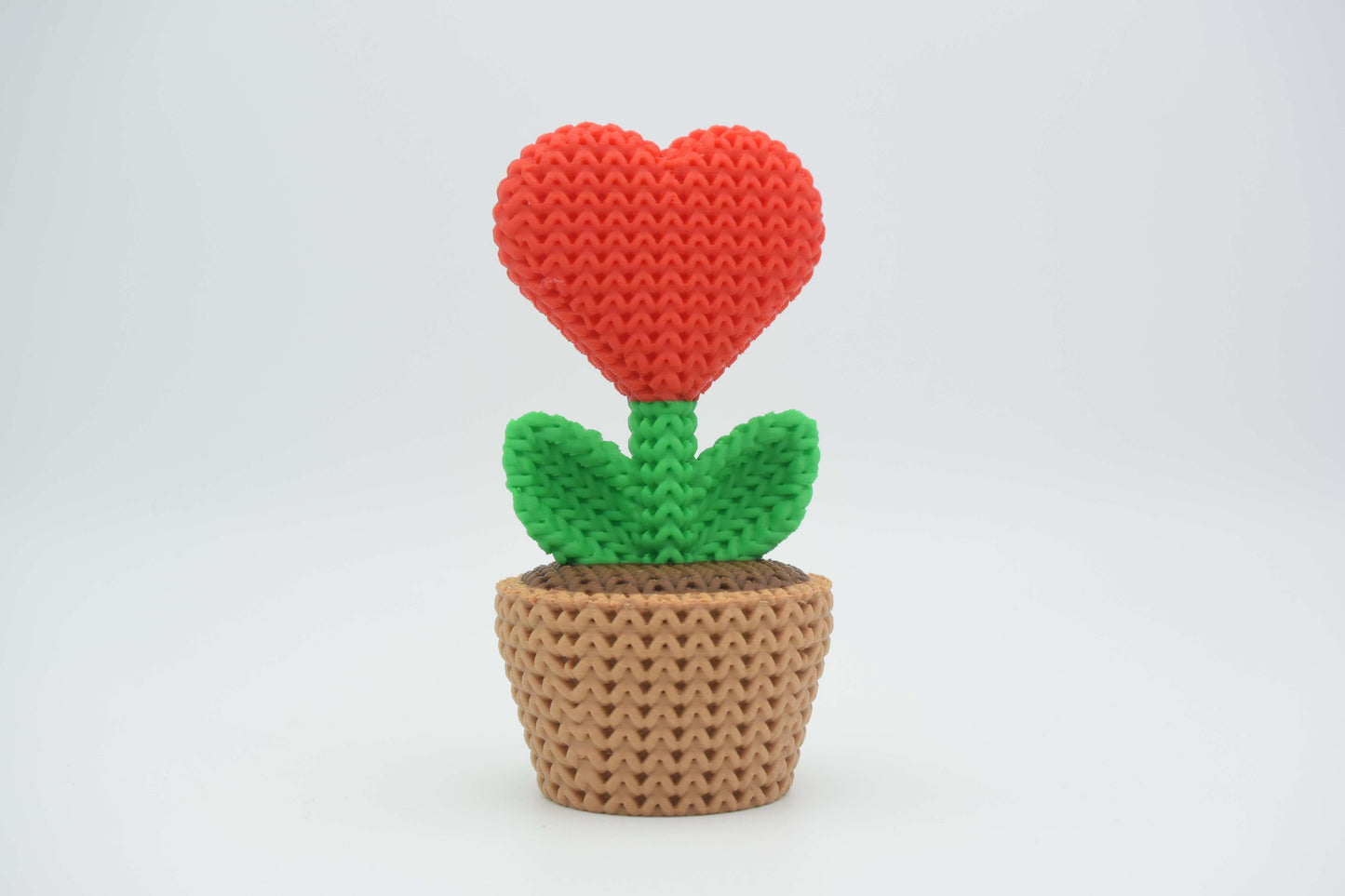Planta corazón tejido