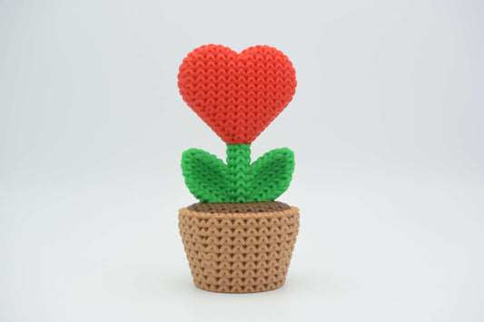 Planta corazón tejido